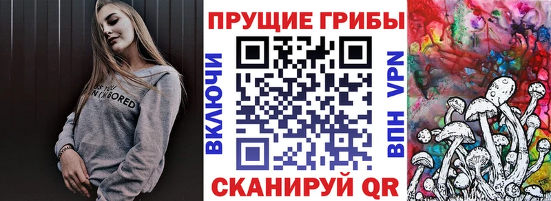 Псилоцибиновые грибы Magic Shrooms  Купить  Гулькевичи 